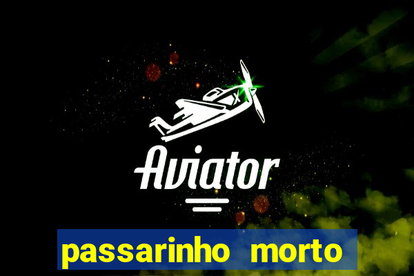 passarinho morto significado espiritual